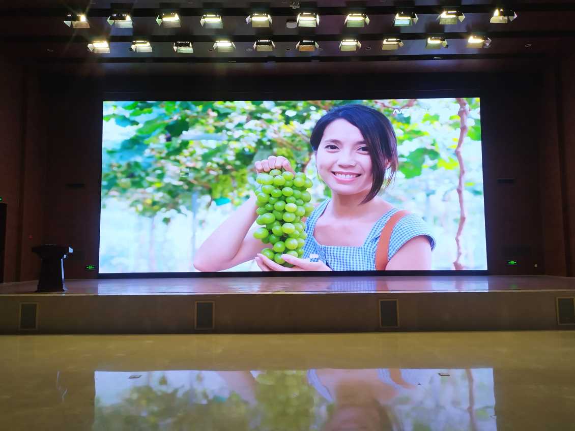 新华会议中心P1.86LED显示屏